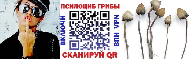 Псилоцибиновые грибы мухоморы  Мостовской 